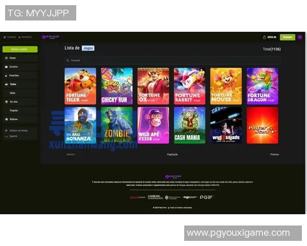 pg电子漏洞-PG电子漏洞，揭示漏洞的严重性及其应对策略-pg电子漏洞